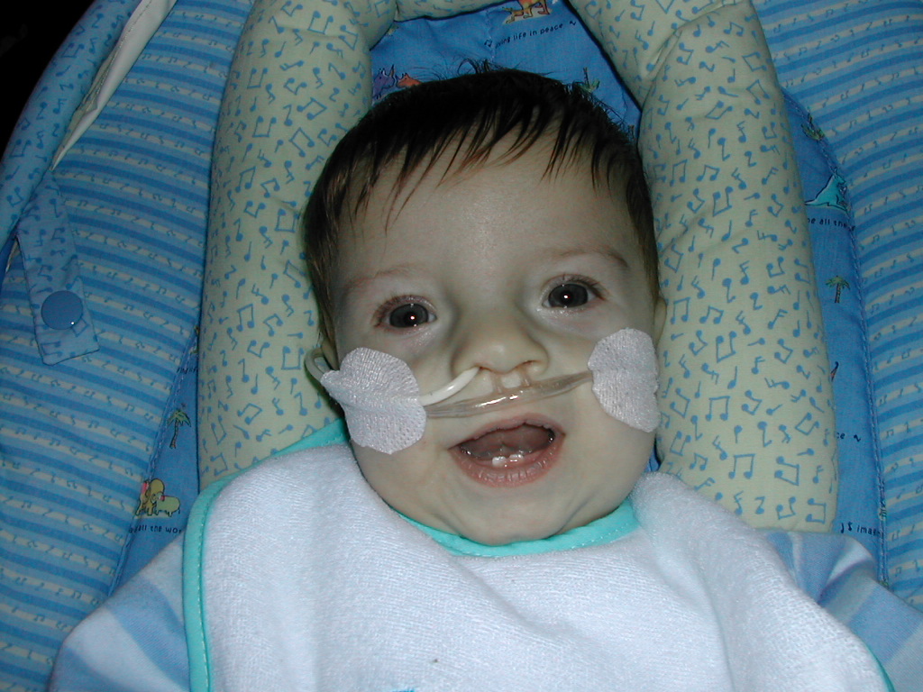 1002x745 pixels (288K)